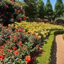 도당동행정복지센터 이미지