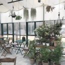 쌀쌀한 요즘날씨에 가기 딱 좋은 꽃과 화분 가득한 식물원 온실 카페 추천 경기 광주 - 파머스 대디 경기 과천 - 마이 알레 이미지