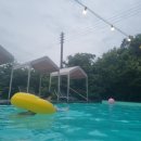 빌라달모어 | 장성풀빌라독채펜션 #빌라달모어 (내돈내산)