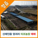 양괴리농장 이미지