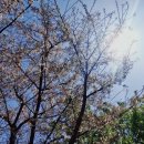 아리랑별관 이미지