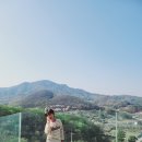 파인힐빌리지 캠핑장 이미지