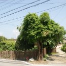 ㈜원예기업 이미지