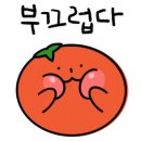 진정성헤어