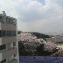 영복여자고등학교 이미지