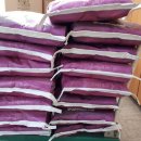 이숙희 이미지