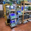 풍원수족관 이미지