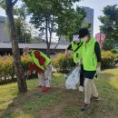 충무공동26 이미지