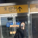 소일하 이미지
