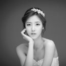 피오나 이미지