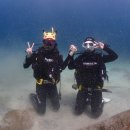 스쿠비 | 수영 못해도 가능한가요? 제주 체험 다이빙 리얼 후기 (스쿠비 다이브)