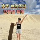 (주)섬고기 | 호주 브리즈번 모튼섬 투어 :: 스노쿨링, 샌드보딩, 투명카약 선셋사파리 솔직후기