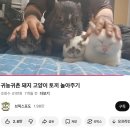 겨을