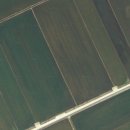 진흥 부동산중개사무소 이미지