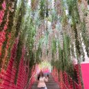 고수동굴 출구 이미지