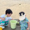 코브나인 이미지