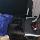 하노마을회관 | 영남알프스종주 2봉 문복산/고헌산 개별 최단코스 10월3일(추석연휴 종주 4일차+차박)