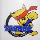 태비태권도 | Leo의 &lt;태비태권도&gt; 수업후기