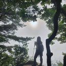 GR(울산광역시 울주군)-[석남로]-하-5 | 2023.07.20(목) 영남알프스의 최고봉 가지산(1,241m) &amp; 하산식 가지산 돌짜장