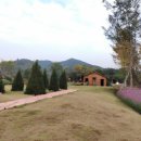 에듀팜특구관광단지(벨포레리조트) | 에듀팜특구관광단지벨포레리조트 방문 후기: 힐링과 즐거움이 있는 특별한 시간