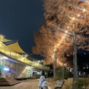 산타 크루즈 | 크리스마스빌리지 산타크루즈 롱크크 대작전 실패후기