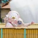 [EP.412]어트랙션🔥맛집🔥 경주월드에서 뽕 뽑는 법 | 드라켄 보다 무서운💀000💀 경주월드 갈래!? 화면 캡쳐1️⃣ 이미지