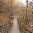 해맞이동산 이미지