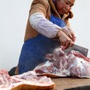 사시마을 이미지