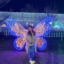 불빛 | 제주 불빛정원 후기｜제주 밤 가볼만한 곳, 아이와 함께 가기 좋은 야경 관광지 총정리