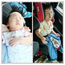 전진타운어린이집 | 삼둥이도 다녀온 인천 송도 폴리 플레이파크에 다녀왔어요^^