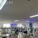 경성스포츠 이미지