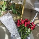 헤어클라라 | 마에스트라 인천 이예준 작가님 촬영 후기 (클라라웨딩 인천, 헤어 변형 꼼꼼, 김주현바이각, 꾸까 셀프...
