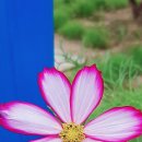 서해주방산업 이미지