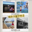 (주)우주금속산업 | 제주우주항공박물관&amp;제주방주교회 하루코스｜서귀포 가볼만한곳 추천