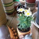 기차네즉석떡볶이 이미지