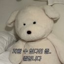 봉그레 | 4월 제주여행(4) : 🌾가파도