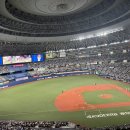일본 야구 직관 후기 이미지