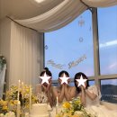 디자인닻별 | [후기] 👰스튜디오 닻별 브샤 후기💍