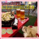 프라이펫 | 건대 레트로 술집 달빛경성맥주 야장 생맥주 나가사키짬뽕탕 애견동반 내돈내산 후기