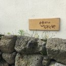 연이네다락방 | 제주살이 #20일차(연이네다락방 게스트하우스 후기)