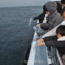 대국해저관광㈜(서귀포잠수함)