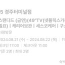 넘버25경주