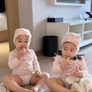 롯데리조트부여와 함께하는 부여 주말투어 | [롯데리조트 부여] 가족과 함께한 겨울철 추천 여행지!! 아쿠아가든 포함~!@@