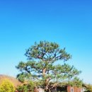 하우스로그공인중개사사무소 이미지