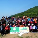 곰배령 쥐와 돼지 이미지