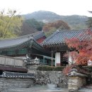 동학사 이미지