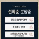 영도에이스공인중개사사무소 이미지