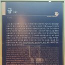 씨유진주상대선우점 | 익산 보석박물관 - 장마철과 무더위엔 여기가 딱이지 5