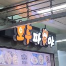호두파야 Daum카페