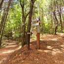 명산암식당 | 도마령 - 상용정 - 각호산 - 정상 - 삼두불상 - 석기봉 - 삼도봉 - 삼마골재 - 황룡사 - 블랙야크💯명산